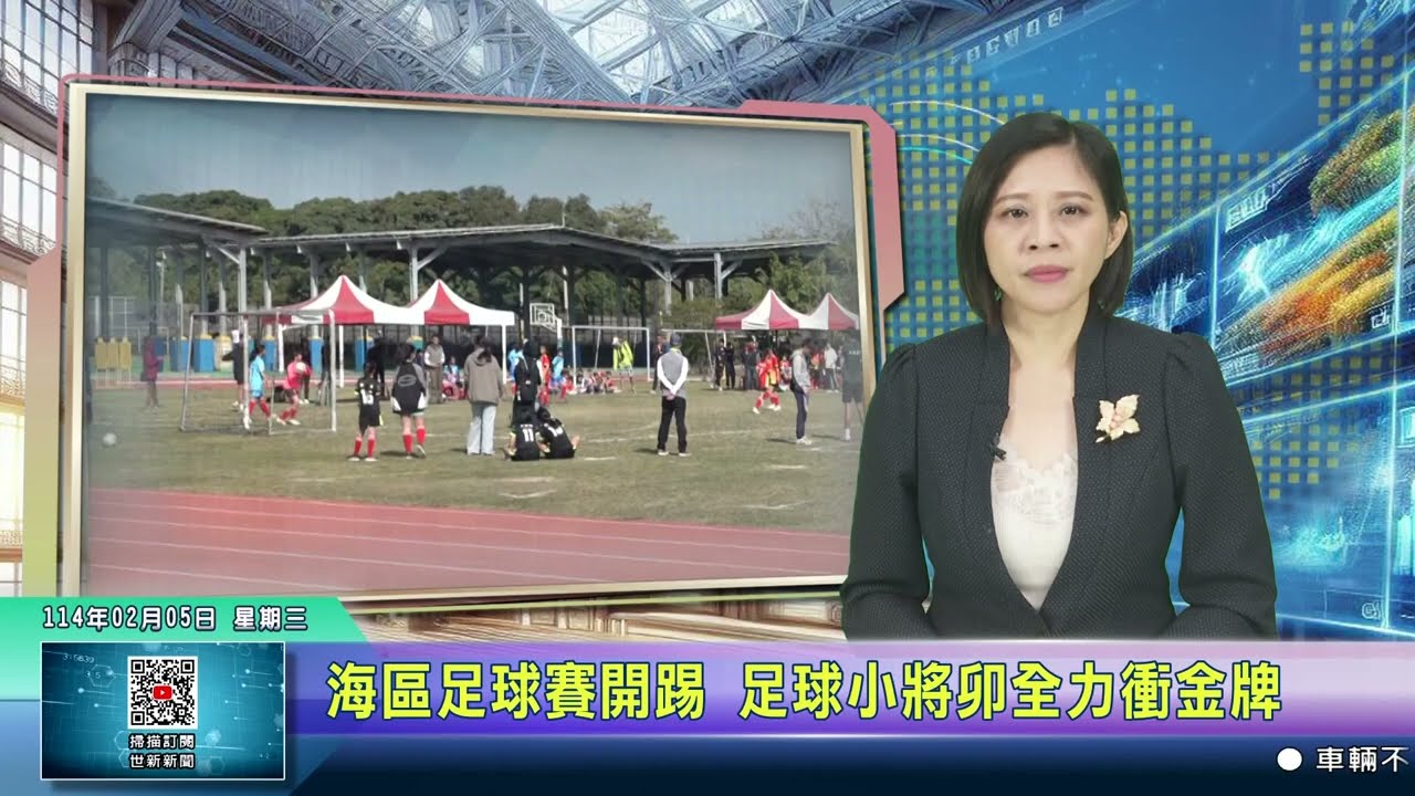 入分析