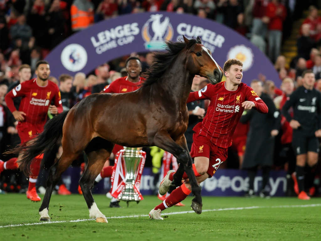 哈弗茨将会 哈弗茨将会